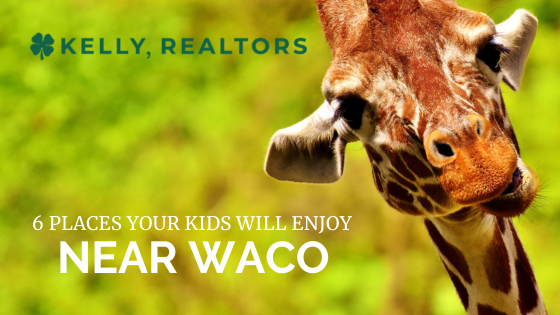 Waco Zoo